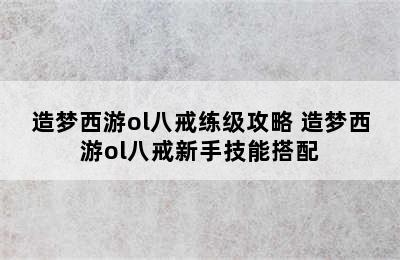 造梦西游ol八戒练级攻略 造梦西游ol八戒新手技能搭配